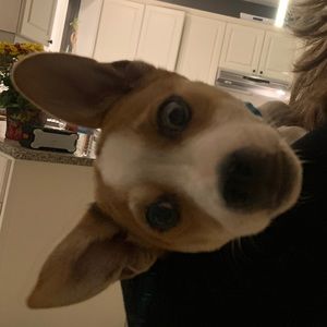 Meet your Posher, Elle wood